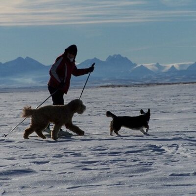 Profile Picture of Sandra McVicar (@watertonparkie) on Twitter
