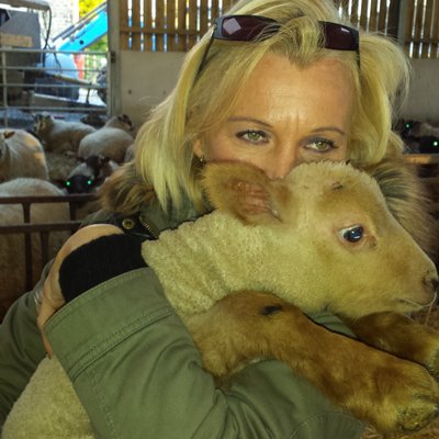 Profile Picture of Judy Gould (@ferretfiddler14) on Twitter
