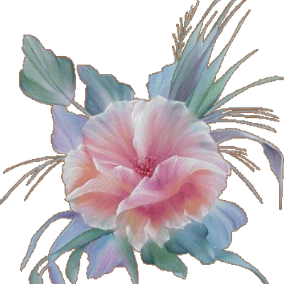 Profile Picture of Nancy Duda (@countyofwayne) on Twitter