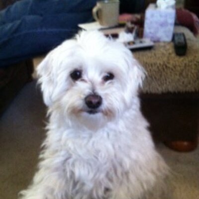 Profile Picture of Jennifer Gabriel (@gabriel_jmlaw22) on Twitter