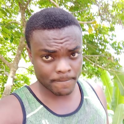 Profile Picture of Al (@scala28) on Twitter