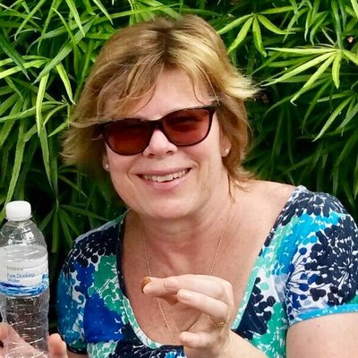 Profile Picture of Gill Clements (@gill_clements) on Twitter