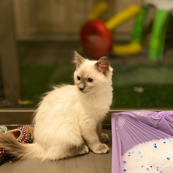 Profile Picture of Fareed Syed (@fnhk) on Poshmark