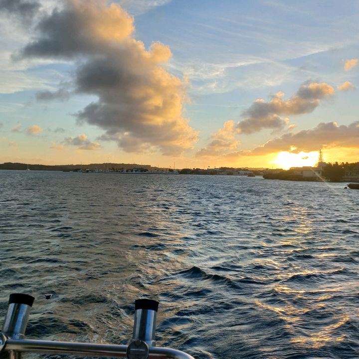 Roxy - Tiktok Profile Picture of Roxy (@roxannaevans) on Tiktok