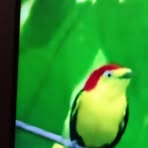 Profile Picture of Salim Edola (@Salim-Edola) on Facebook