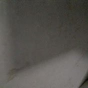 Profile Picture of Wen Wu (@wenwu6795) on Youtube