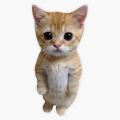 Profile Picture of Calvin Xu (@calvinxu9634) on Youtube