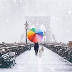 Profile Picture of Vincent Yu (@vincent_moriarty) on Instagram