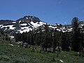 Profile Picture of Eldorado National Foreston Wikipedia