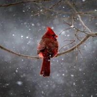 Profile Picture of Linda Helm (@linda-helm-1) on Quora