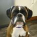 Profile Picture of Charley Harley (@charley.harley.56) on Facebook