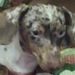 Profile Picture of Tina Erickson Clark (@cec1964) on Pinterest