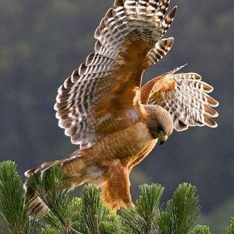 Profile Picture of Andrew Wrench (@AndrewWrench8) on Twitter