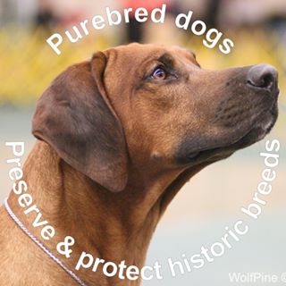 Profile Picture of Marie Povilaitis (@marie.povilaitis) on Facebook