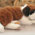 Profile Picture of May Troiano (@matthewisboo) on Instagram