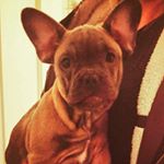 Profile Picture of william hudson white (@willy_jesus1) on Instagram