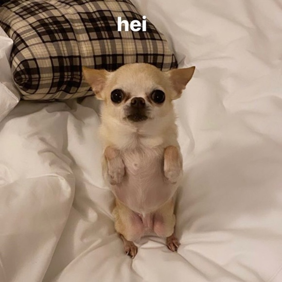 Profile Picture of Grace Mcsperrin (@mcsperro) on Poshmark