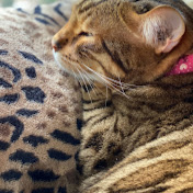 Profile Picture of Lysette Franco (@TheZombiehooker) on Youtube