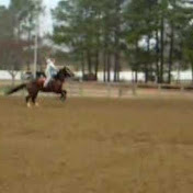 Profile Picture of Alex Carmichael (@thatgrlisacowboy) on Youtube