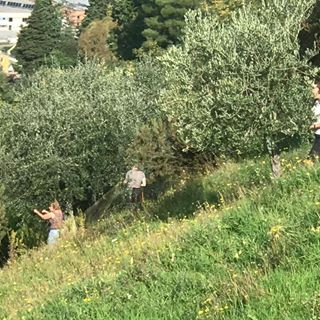 Alice Gouman - Facebook Profile Picture of Alice Gouman (@alice.gouman) on Facebook