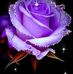 Profile Picture of Christine Mccawley (christine mccawley) (@christine.humphreys.3363) on Facebook