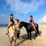 Profile Picture of Andrea Gronski (@andreagronski) on Instagram