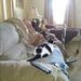 Profile Picture of carlos fraley (@carlosfraley34) on Pinterest