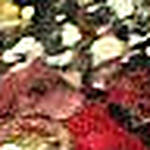 Julia Popova - Flickr Profile Picture of Julia Popova (@julia popova ied barcelona) on Flickr