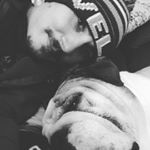 Profile Picture of Adam Mercer (@mercerthatsme) on Instagram