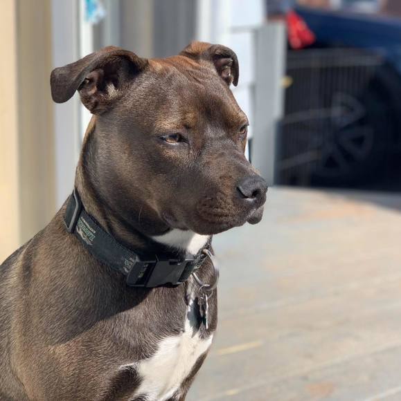 Profile Picture of Travis Dawson (@craziestteen) on Poshmark