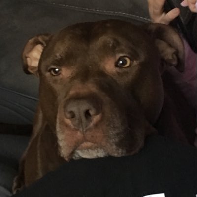 Profile Picture of Matt Mieszkowski (@MattMieszkowsk1) on Twitter