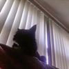 Profile Picture of andreasmoore19 (@andreasmoore19) on Tiktok