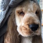 Profile Picture of Alfred James & Maggie May (@alfred_and_maggie) on Instagram