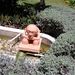 Profile Picture of owen boothe (@owenboothe) on Pinterest