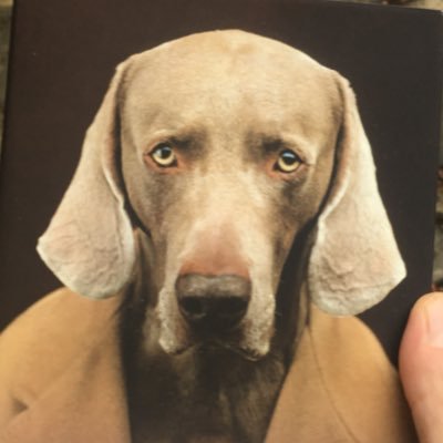 Profile Picture of Mark Alizart 🤖🐶⚡️ (@MarkAlizart) on Twitter