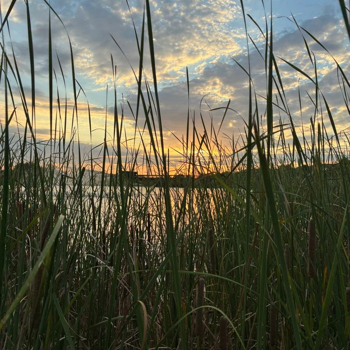 Profile Picture of Eli Singleton (@eli.singleton8) on Tiktok
