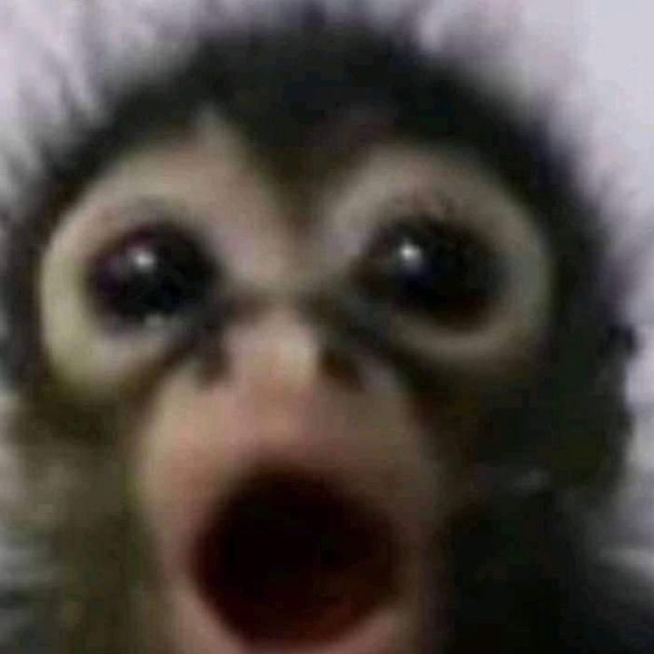 Profile Picture of Ericstan (@stanelle5) on Tiktok