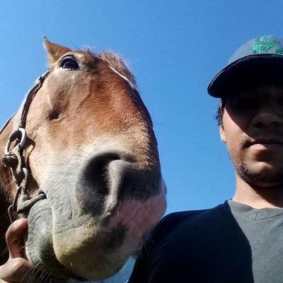 Profile Picture of Daniel Sotelo (@danielsotelo_) on Twitter