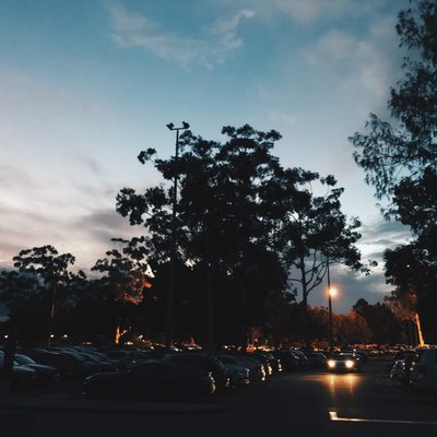 Profile Picture of Daniel Daun (@theleafjournal) on Twitter