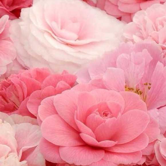 Profile Picture of Astrid Rivera (@joana15) on Poshmark