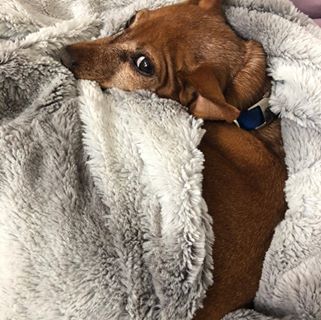 Profile Picture of Linda BondBjork (@lbondbjork) on Facebook