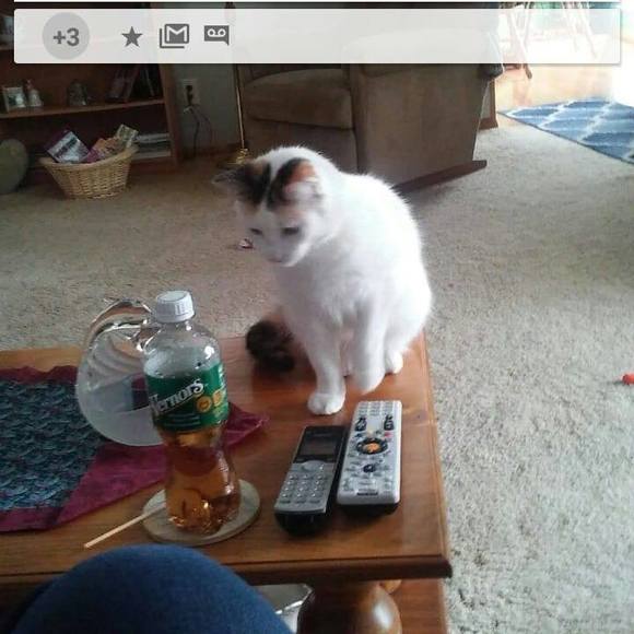 Profile Picture of Ginny Reimann (@ginnyreimann) on Poshmark