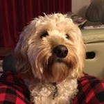 Profile Picture of Richard Rayment (@raymenrh) on Instagram