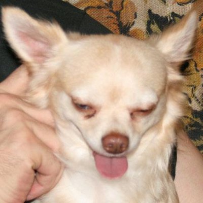 Andrew Smuda - Twitter Profile Picture of Andrew Smuda (@Cpc2011a) on Twitter