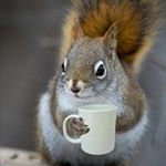 Profile Picture of Chris Pigeon (@iamhere85) on Instagram