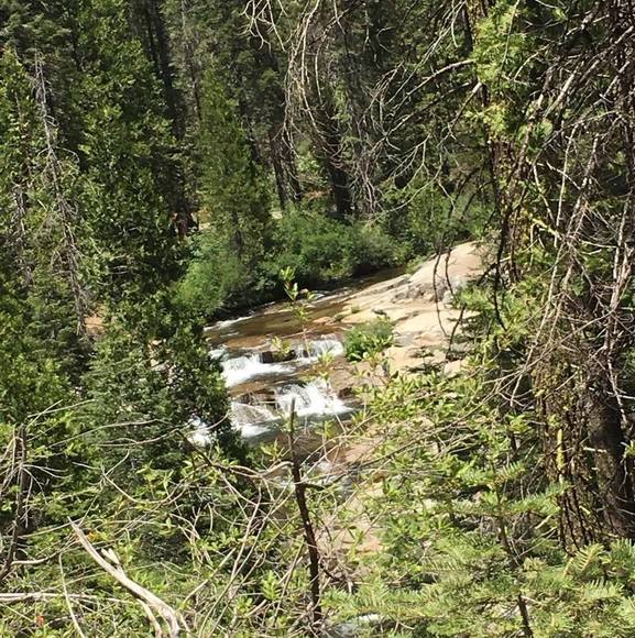 Profile Picture of Steven Alford (@alfordsteven2) on Poshmark