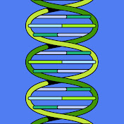 Profile Picture of Greg Bowman (@gregbowman1431) on Youtube