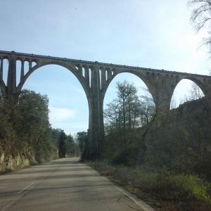 Profile Picture of Julia Corrales (@julinescorrales) on Twitter