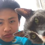 Calvin Cheuk Man Lee - Instagram Profile Picture of Calvin Cheuk Man Lee (@alvinnthecheukman) on Instagram