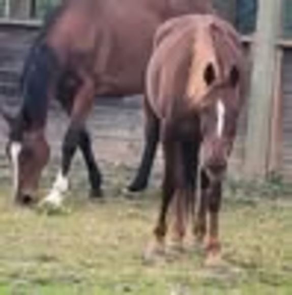 Profile Picture of Grace Mathison (@gracemathison) on Poshmark